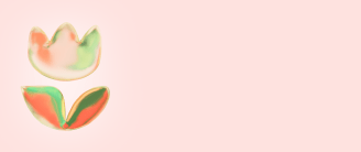 Flores e presentes na Udora