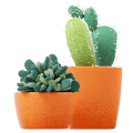 Plantas vivas