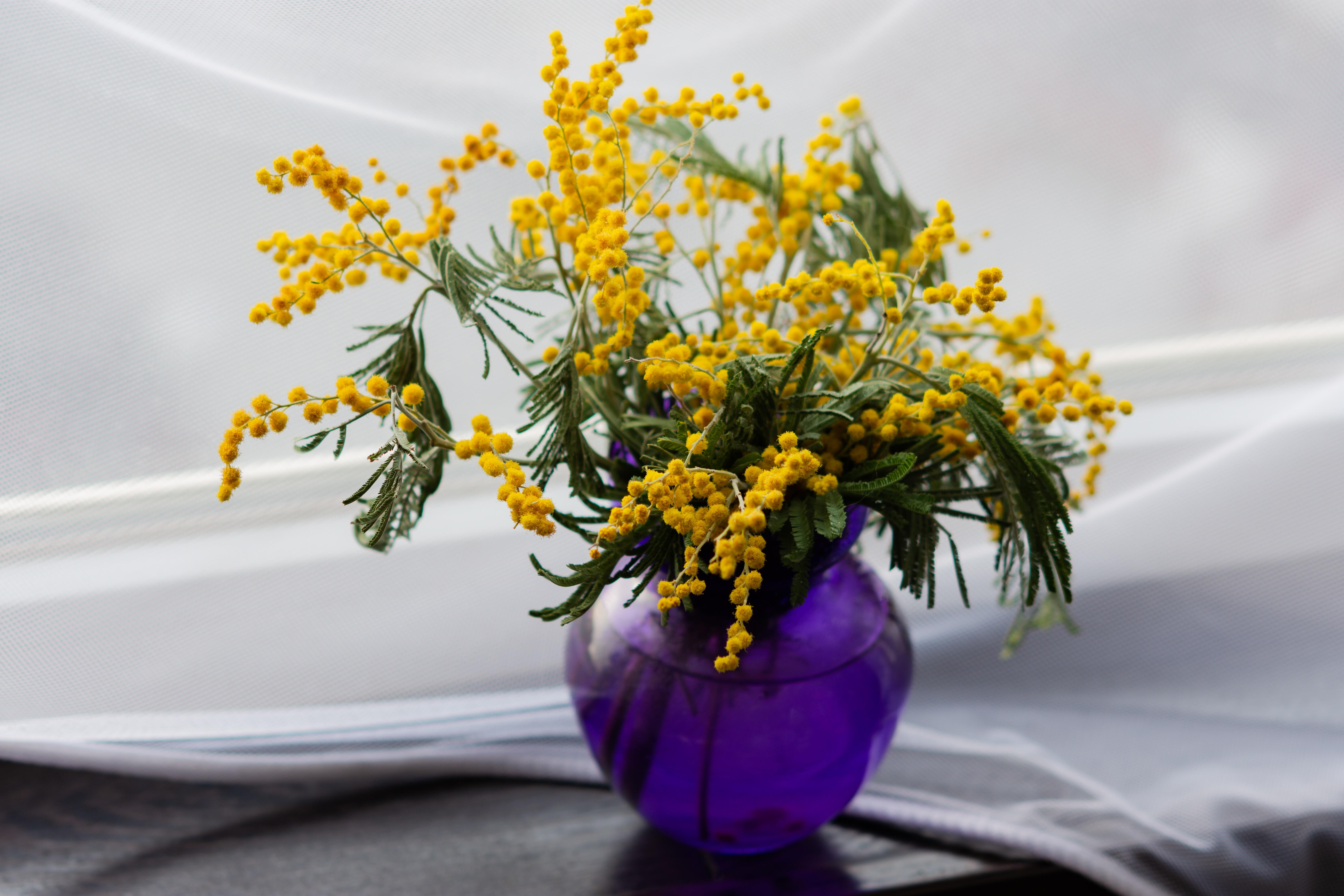 Um elegante arranjo floral em vaso de vidro&nbsp;