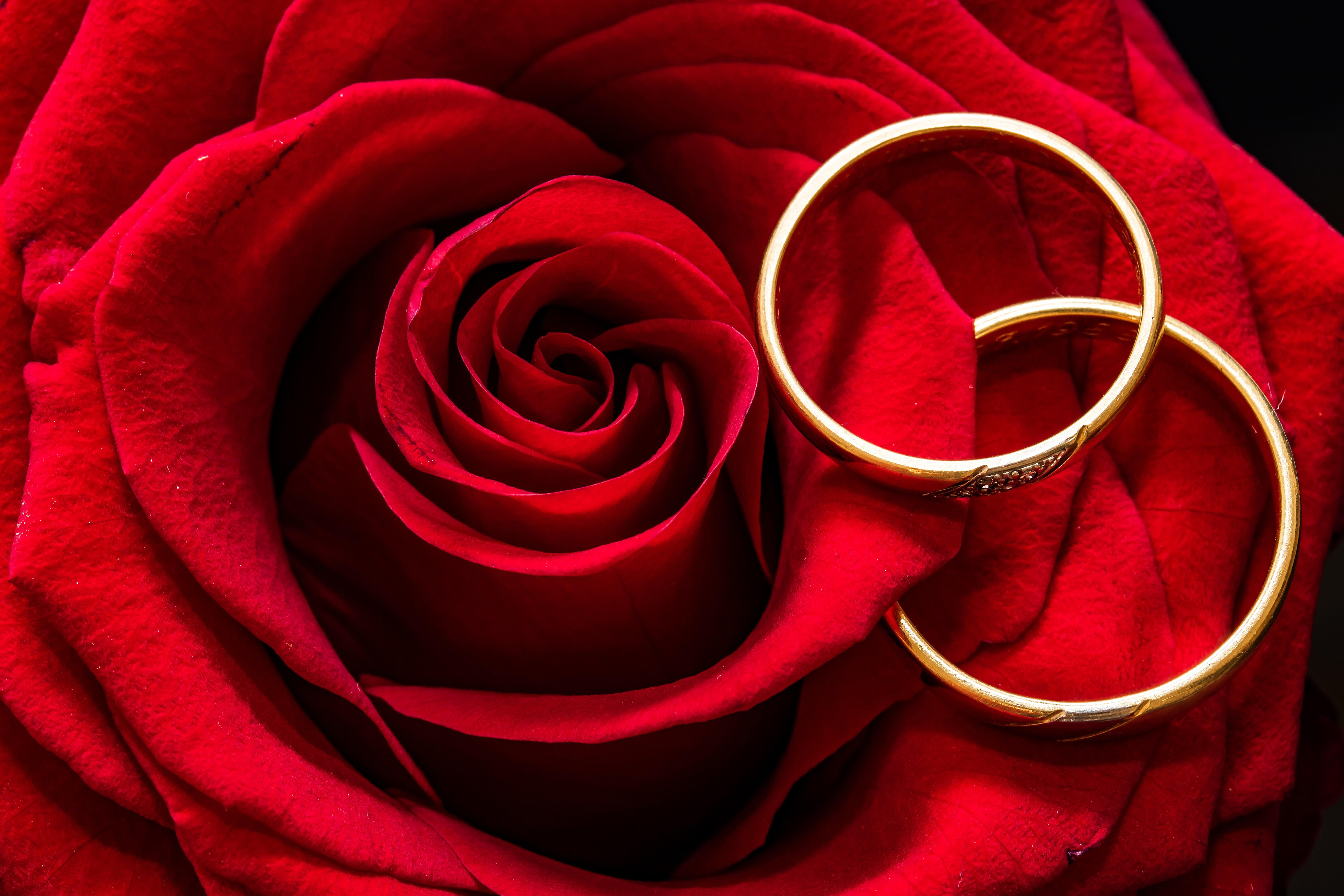 Tudo sobre as bodas de casamento