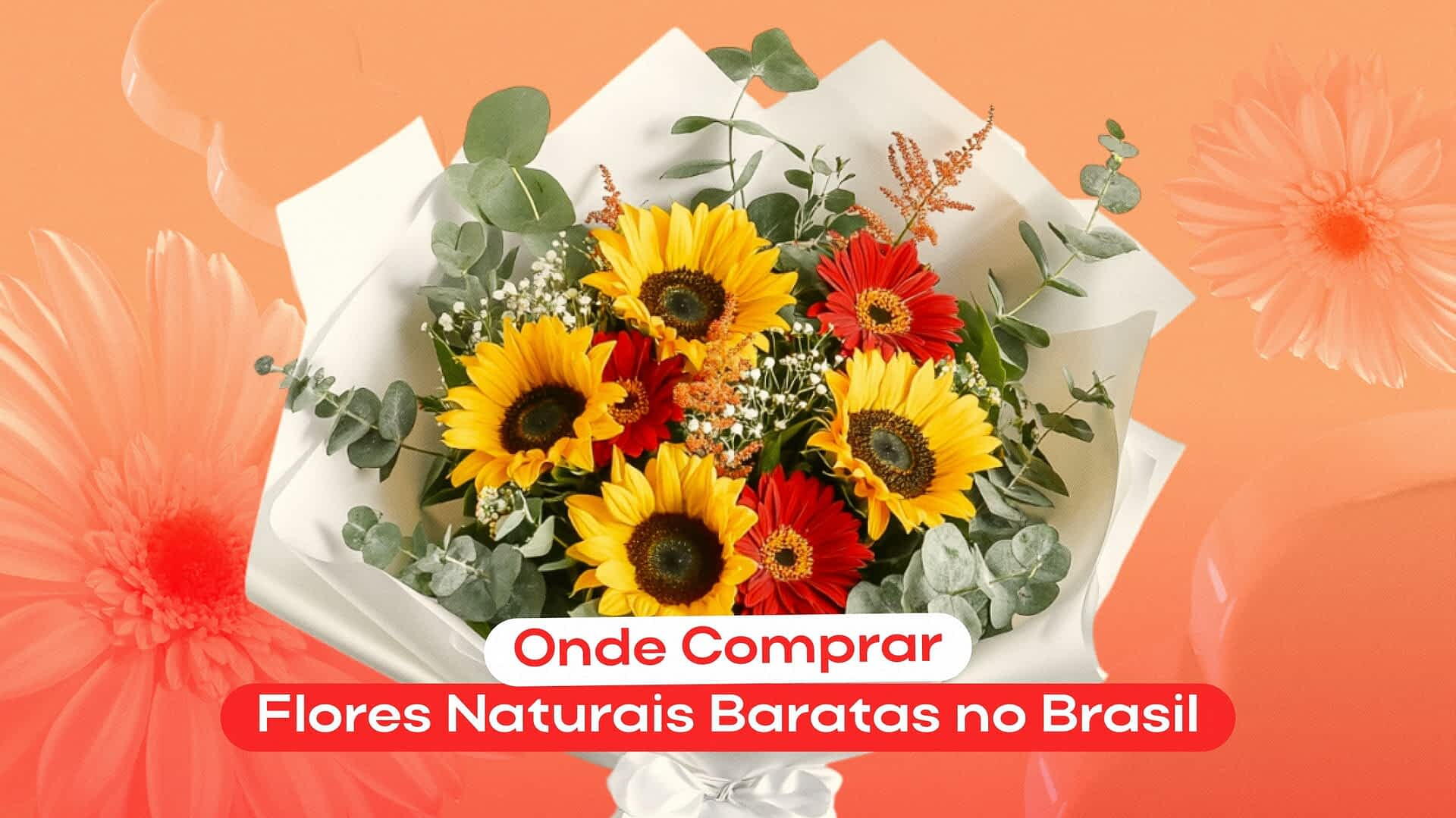Onde comprar flores naturais baratas no Brasil