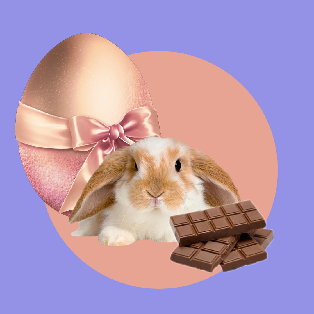 Ovo da páscoa, coelho fofinho e chocolate