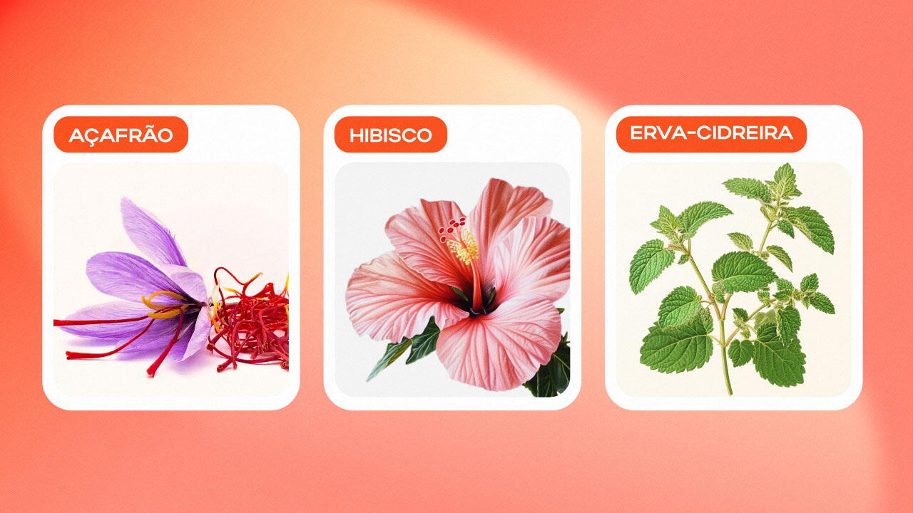 Açafrão,&nbsp;Hibisco,&nbsp;Erva-cidreira