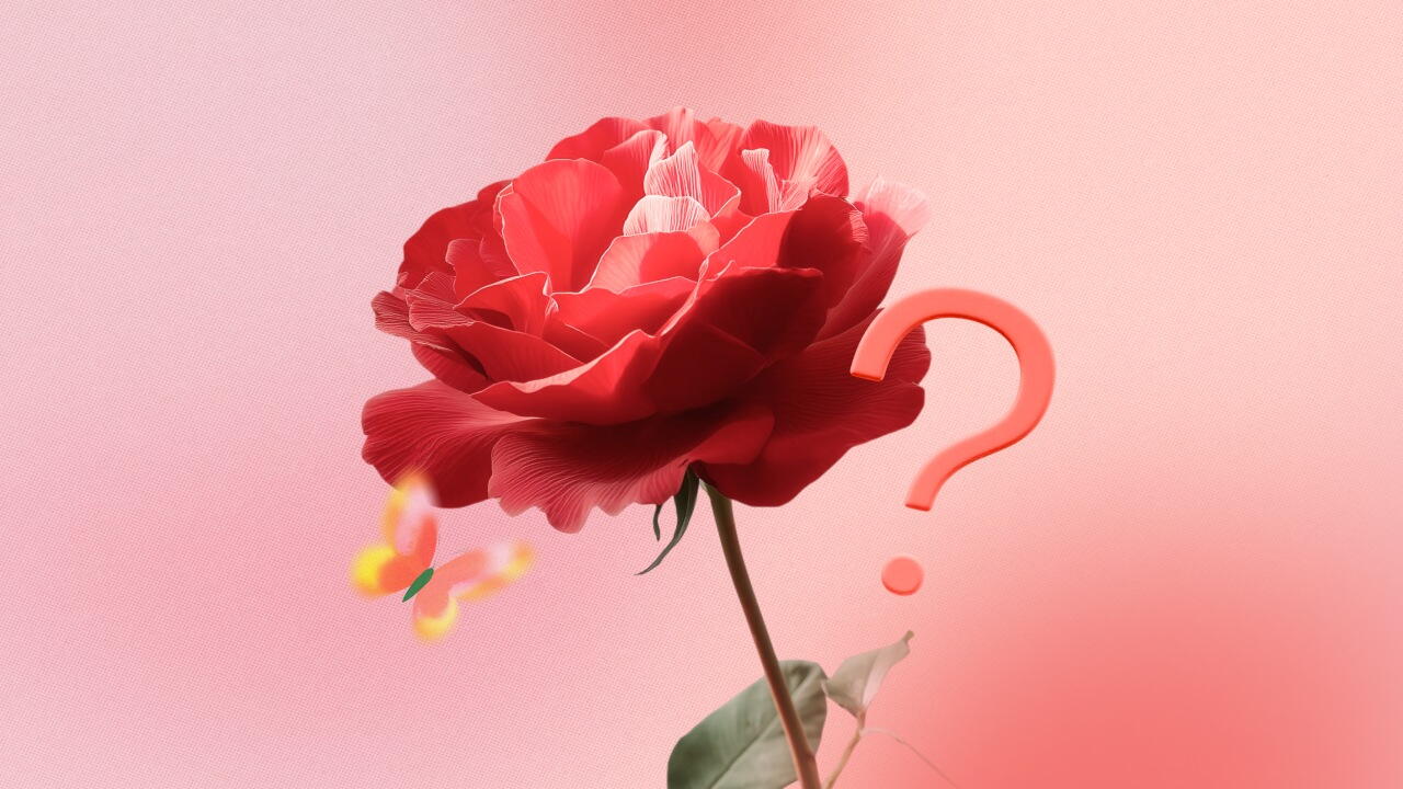 rosa vermelha
