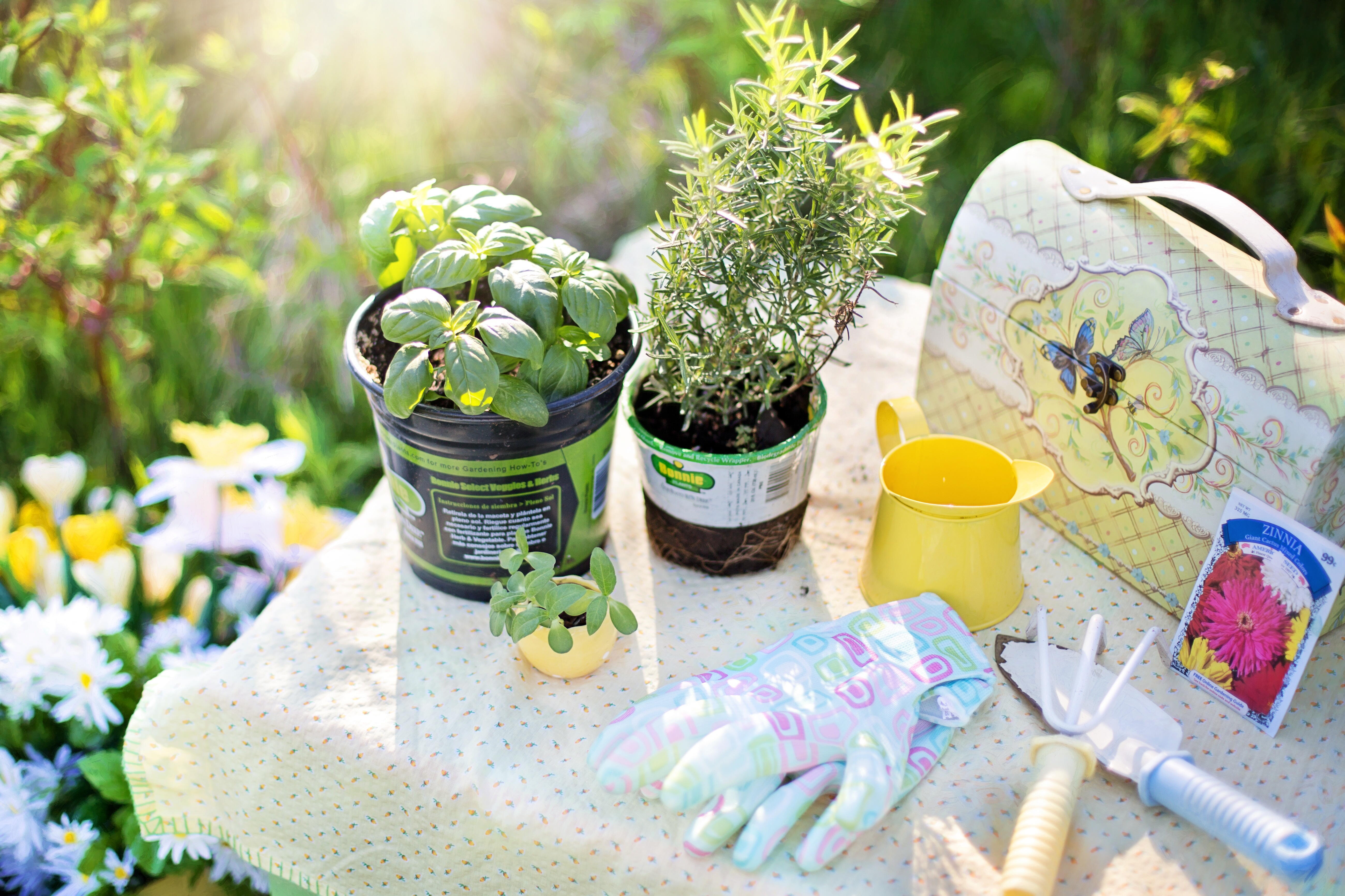 Ferramentas para um projeto de jardinagem simples e incrível