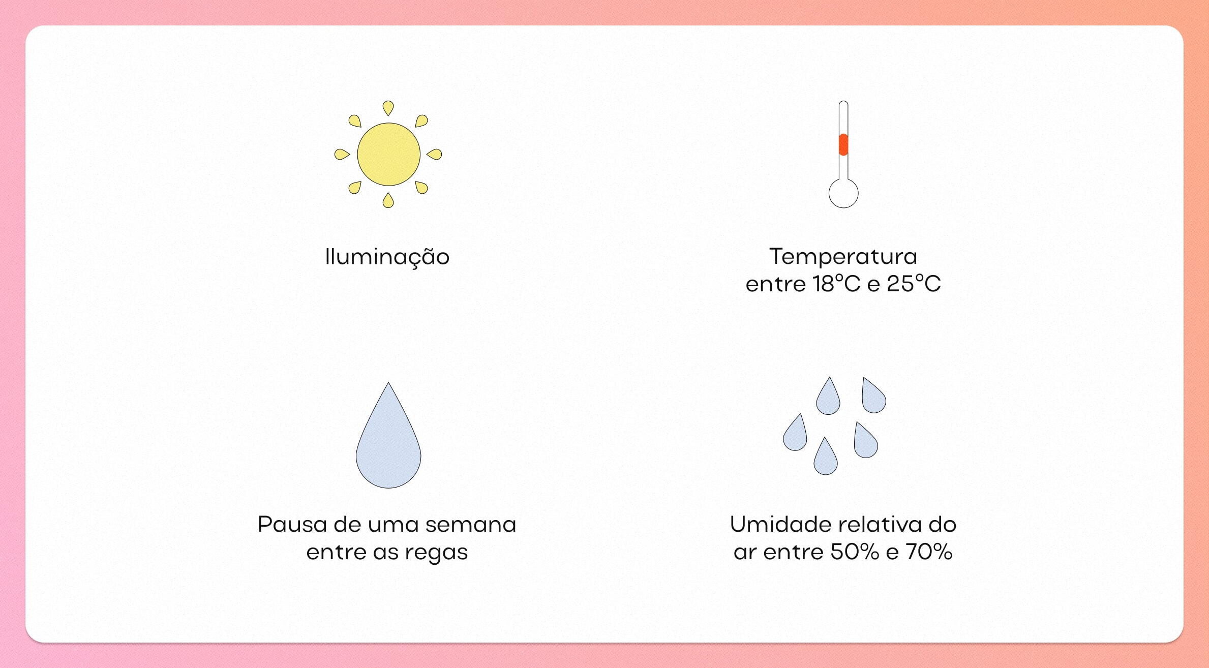 Como cuidar de uma orquídea