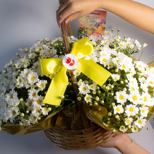 Cesta com Margaridinhas