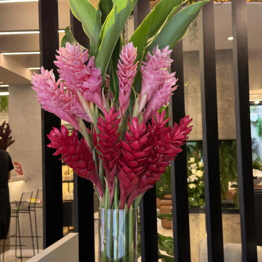 Arranjo Alpinia