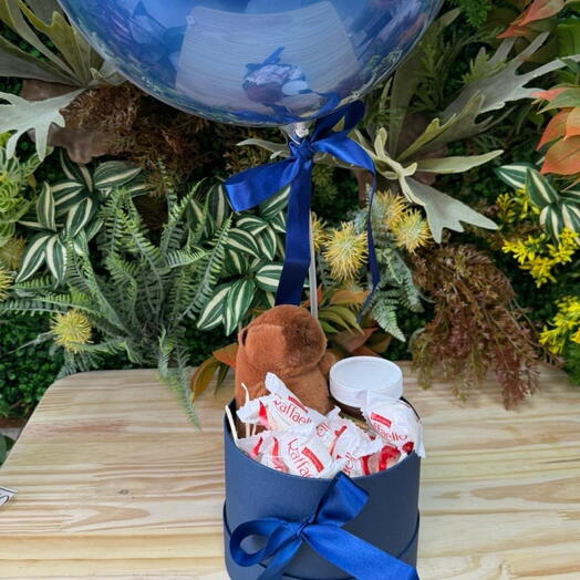 Caixa Box Capivara