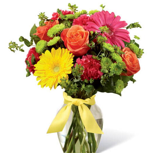 Gerbera