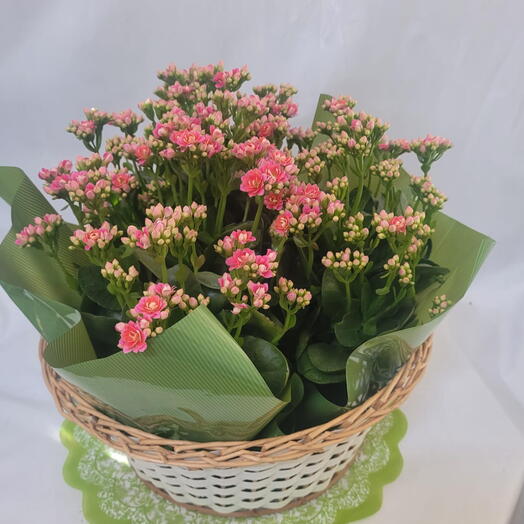 Cesta de Flores da Fortuna