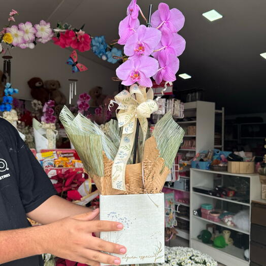 Orquidea Supreme