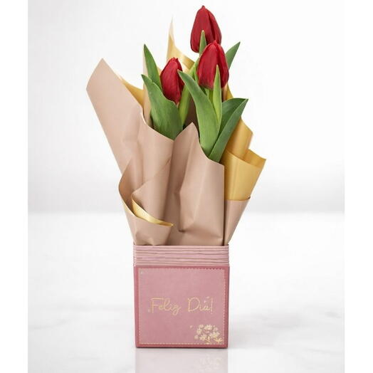 Box Elegância Tulipas Vermelhas
