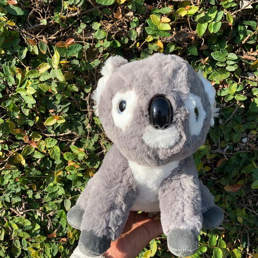 Coala de Pelucia