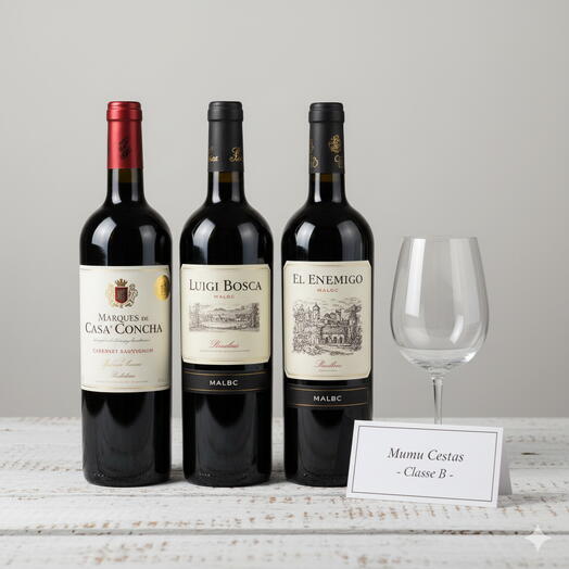 Vinho Classe B