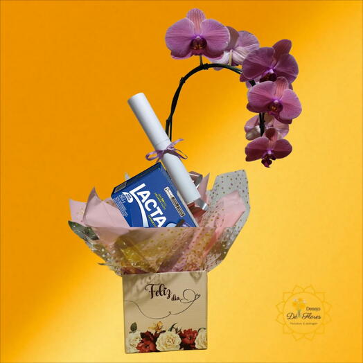 Orquidea Amor Belo com Cx. Bombons