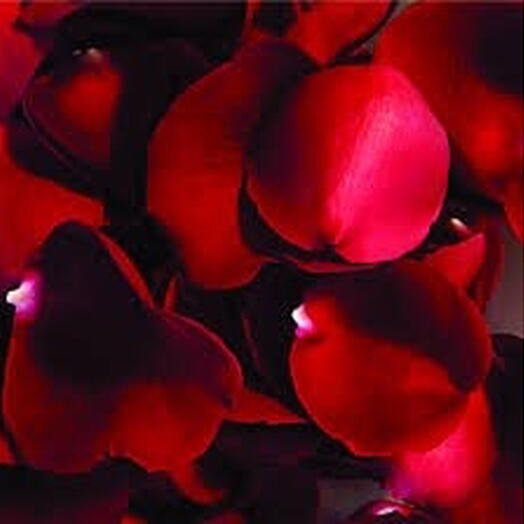 Petalas de rosas
