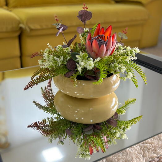 Protea Cor e Paixão