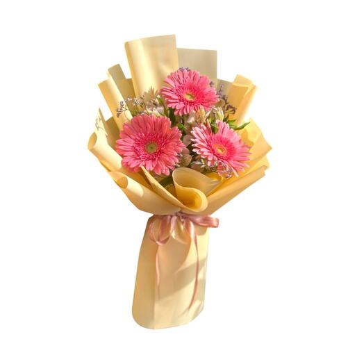 Buquê - Mimo de Gerbera