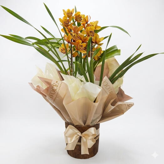 Orquidea Cymbidium