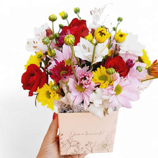 Box VOCE E ESPECIAL
