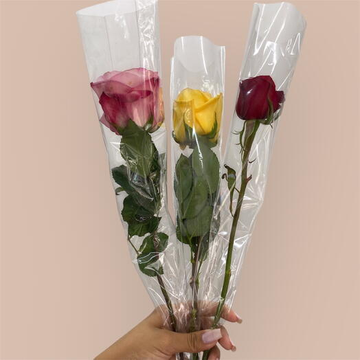 Rosa encantada