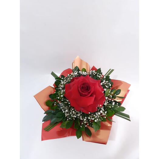 Rosa Vermelha Colombiana Dobrada