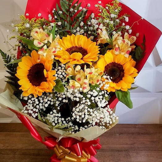 Trio de Girassol Girl