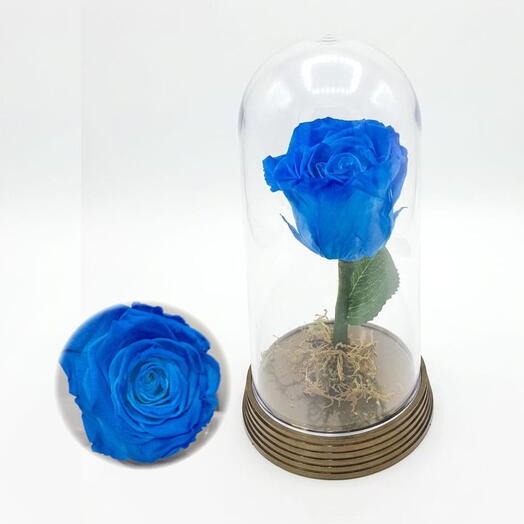 Rosa Encantada- Azul