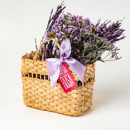 Cesta Brisa