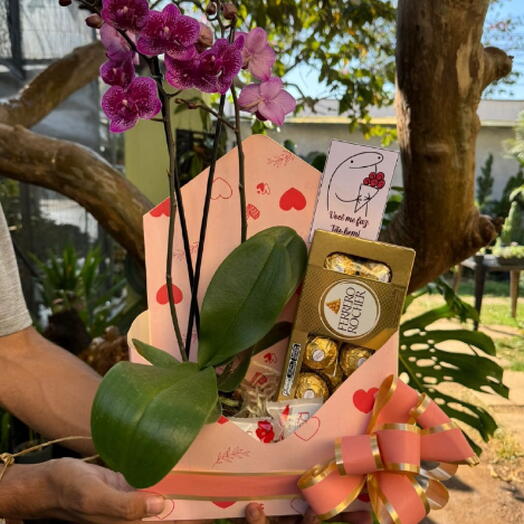 Mini Cesta Com Orquidea e Ferrero