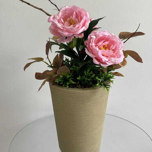 Peonia Essência Rosa