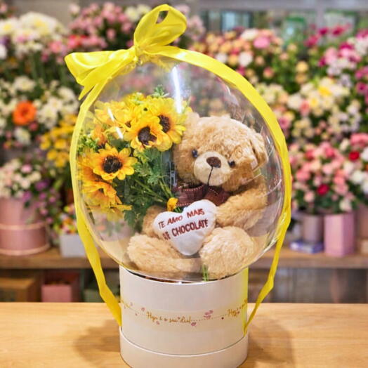 Balão Bubble com girassois artificias, urso de pelucia e chocolates