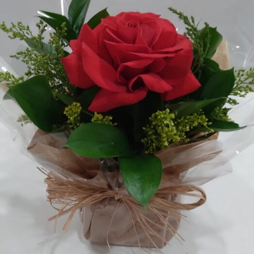 Arranjo de 1 rosa colombiana