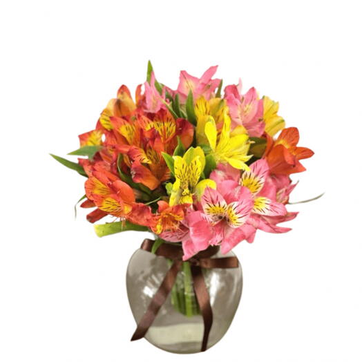 Vasinho astromelias coloridas