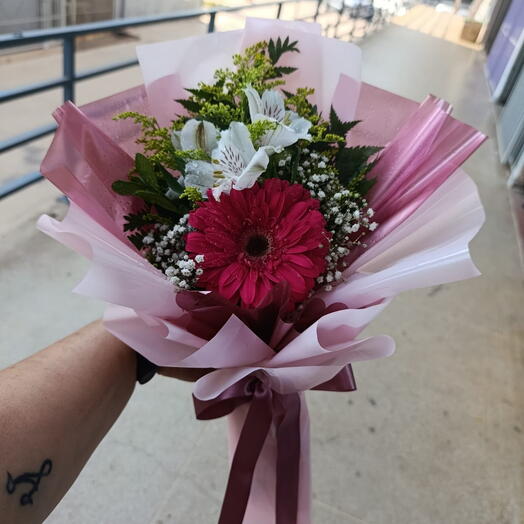 Gerbera Astro Especial