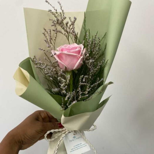 Rosas Cor de Rosa Especial