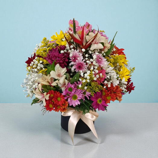 Box Flor do Campo