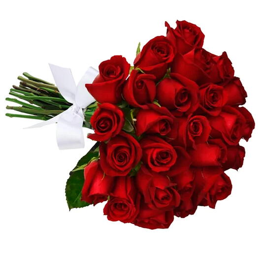Buquê de 24 Rosas Vermelhas