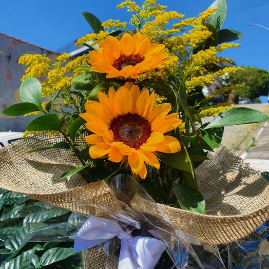 Sofisticação de Girassol