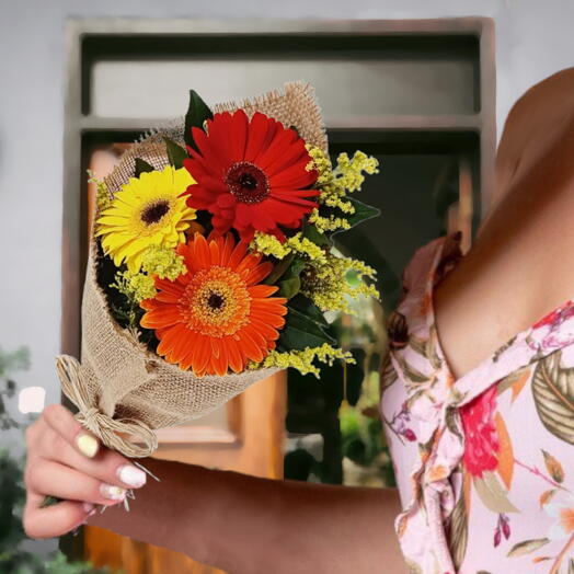 Buquê de 3 Gerberas Coloridas na Juta