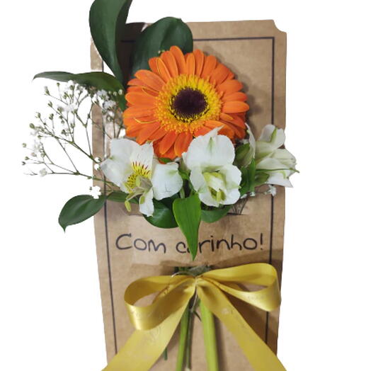 Gerbera para Presente Colors