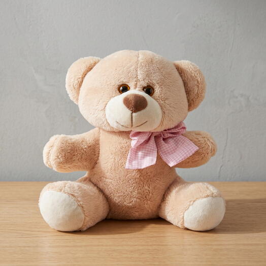 Urso de Pelucia