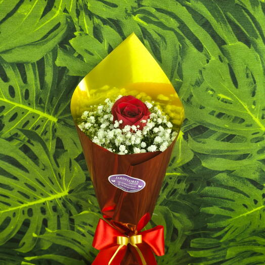 Rosa enfeitada com mosquitinho