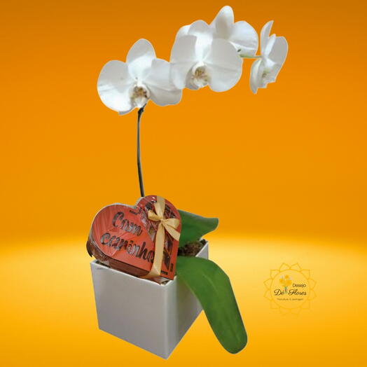 Box Orquidea Amor Puro