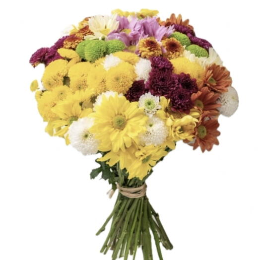 Ramalhete de Margaridas Coloridas