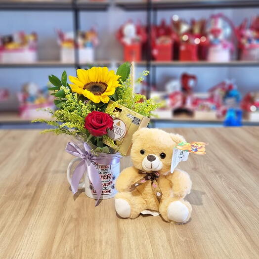 Kit C/ Arranjo na caneca e pelucia