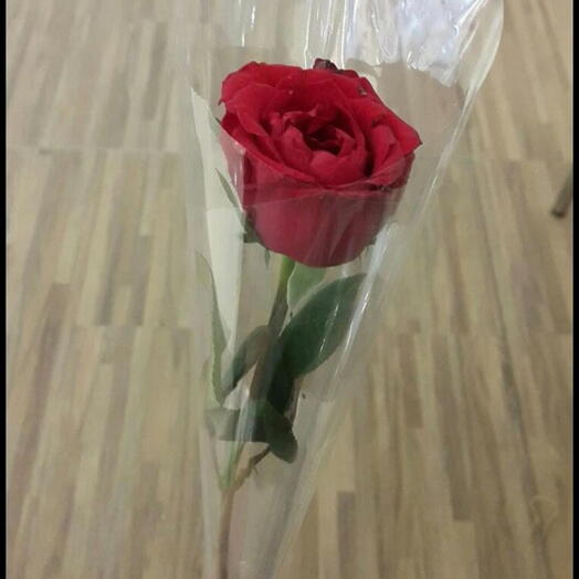 1 rosa enfeitada