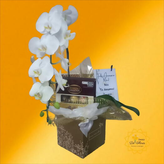 Orquidea Box Gratidão