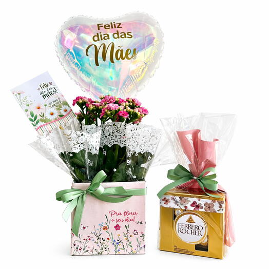 Kalanchoe plantado com Ferrero Rocher Dia das Mães